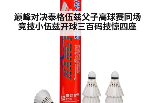 巅峰对决泰格伍兹父子高球赛同场竞技小伍兹开球三百码技惊四座